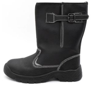 Сапоги зима Аскет, черные, кожа, иск.мех, ПУ/ТПУ, МБС