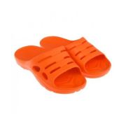 Сланцы Дельфин подростковые (ВВД)